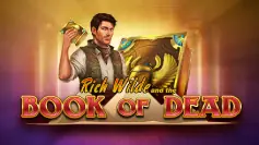 Book of Dead Play'n GO slot per Winairlines IT
